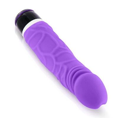 Vibrator 569593